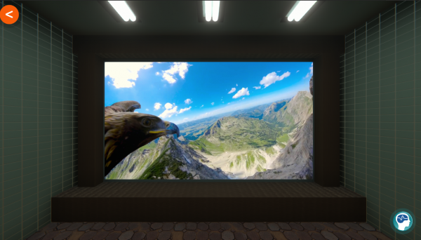 IFEN's Multimedia Player