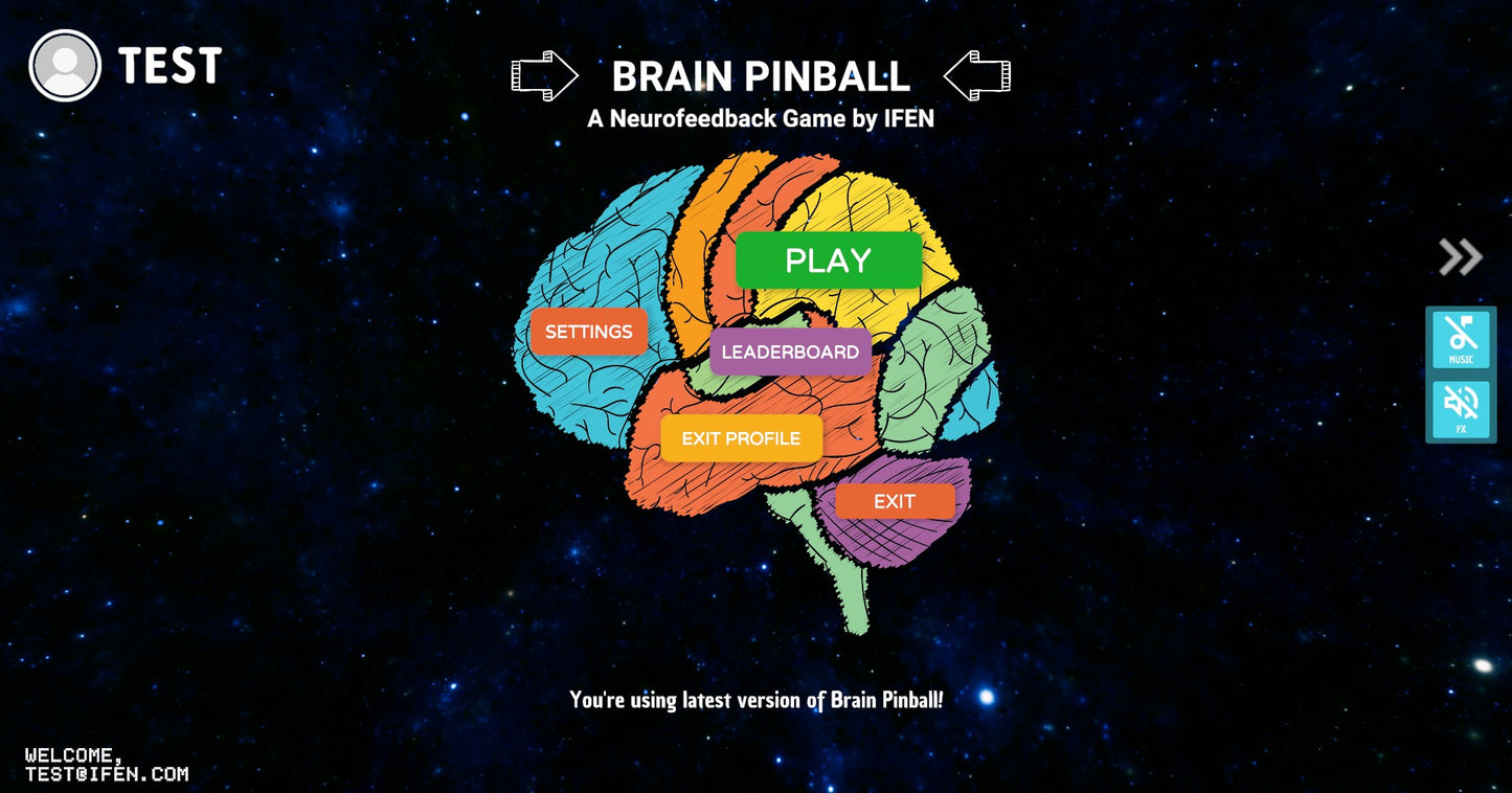 IFEN Brain Pinball