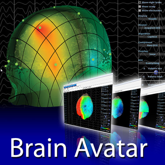 BrainAvatar ™ 4.0 Discovery Live sLORETA Projector - Neurofeedback Software