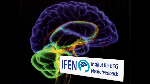 BrainAvatar ™ 4.0 Discovery Live sLORETA Projector - Neurofeedback Software