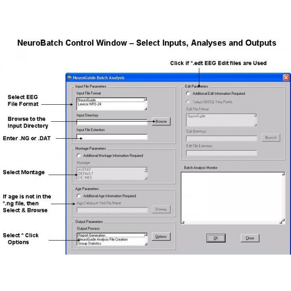 NeuroBatch für NeuroGuide