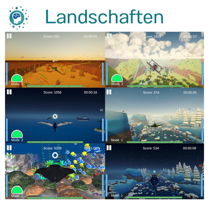 IFEN Sky Fly - Neurofeedback Game 3D