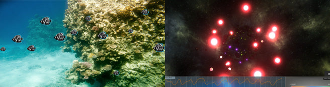 Alive Pioneer - Biofeedback-Software