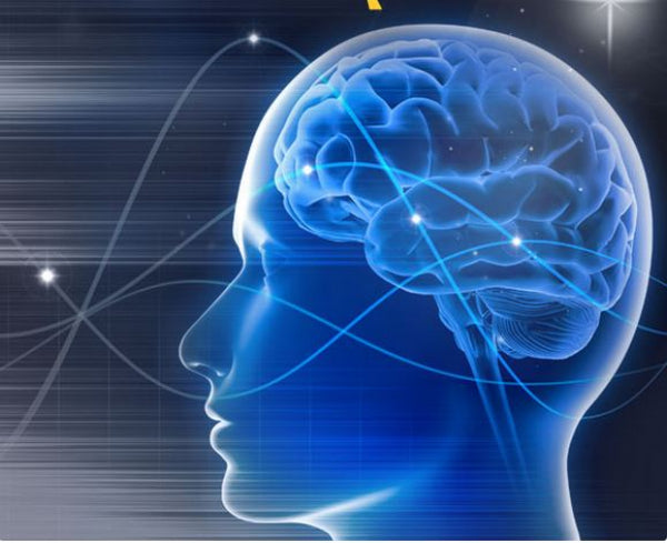 Brainmaster Multimediaplayer MMP für Brainmaster Atlantis und Discovery
