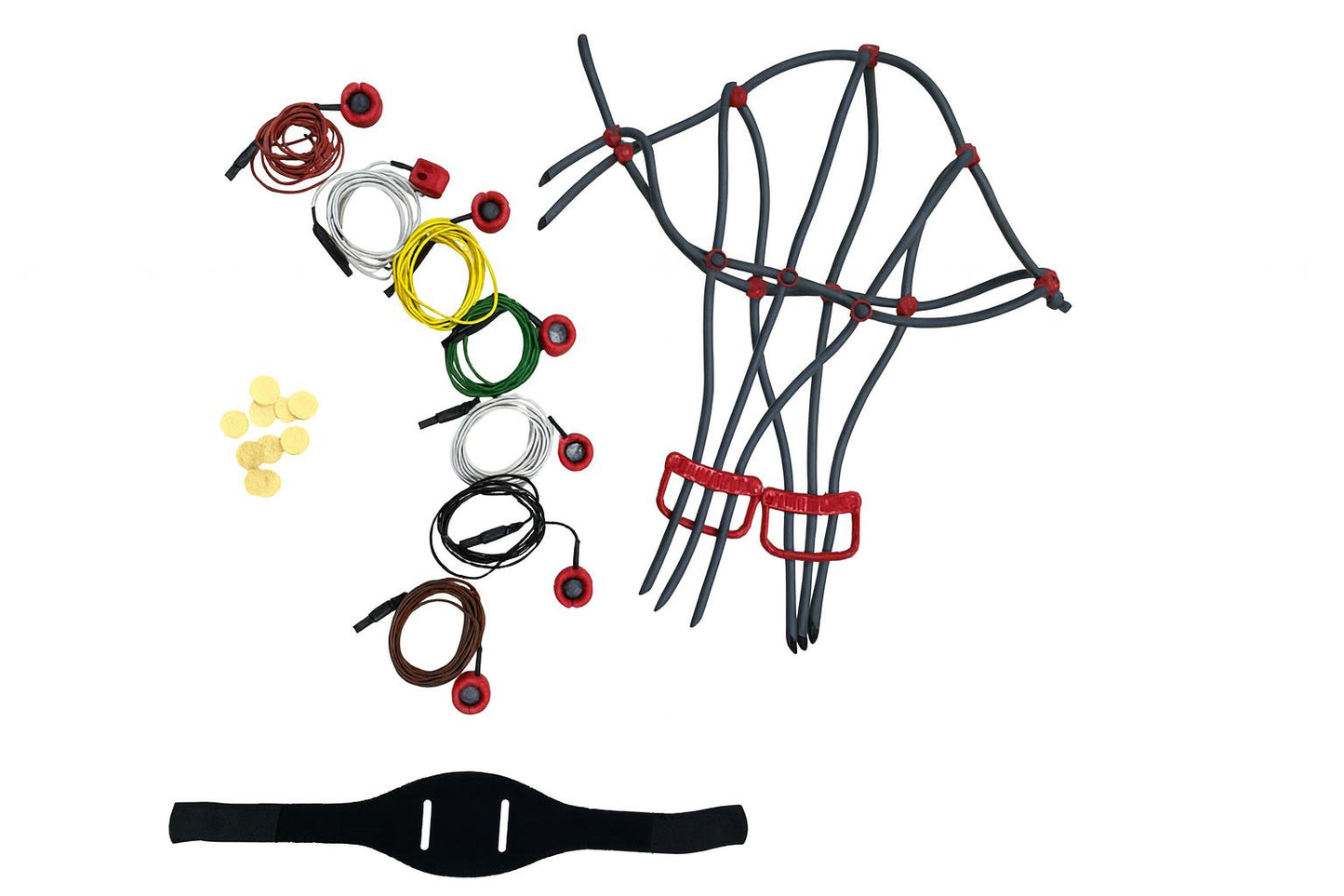 Free cap 4-channel | Semidry Saline EEG