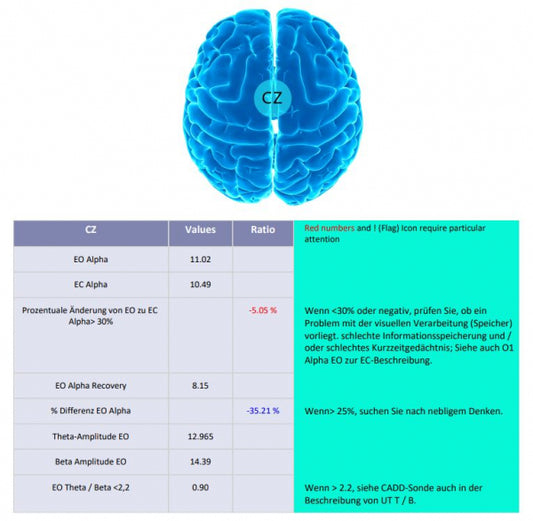 IFEN's Clinical Q Swingle Report Generator